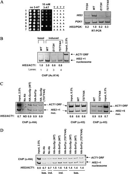 Figure 2.—