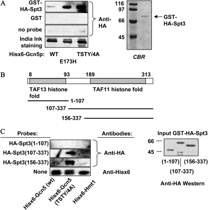 Figure 6.—