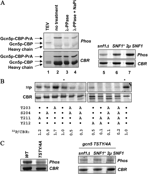 Figure 1.—