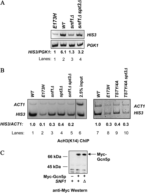 Figure 5.—