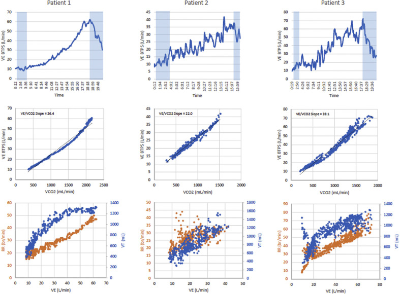 Figure 1