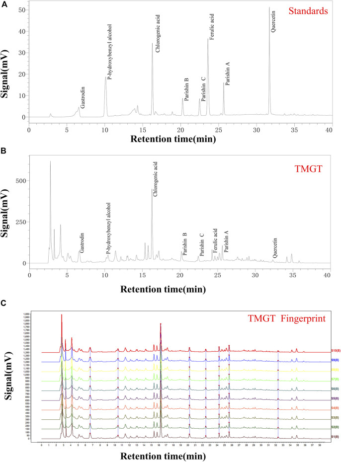 FIGURE 1