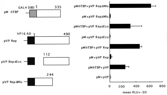 FIG. 6