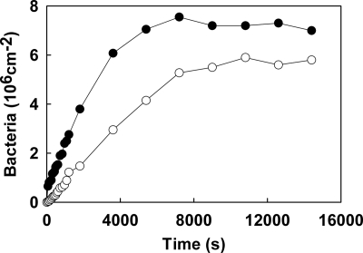 FIG. 1.