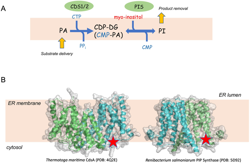 Figure 2: