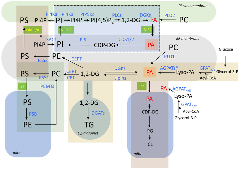 Figure 1: