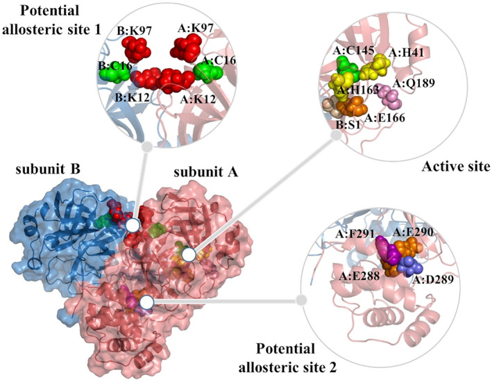 FIGURE 2