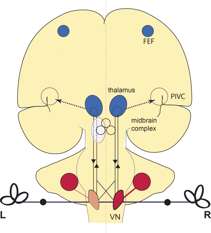 Fig 5