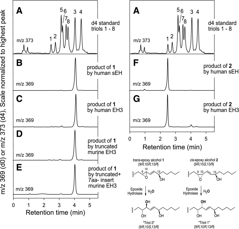 Fig. 10.