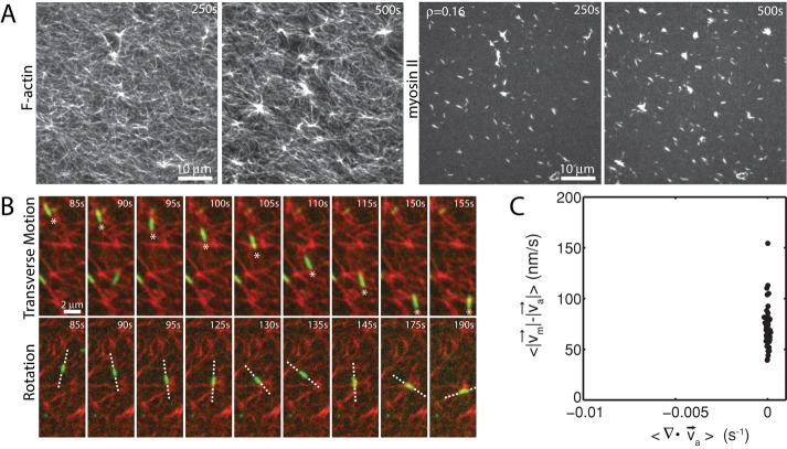 FIGURE 6: