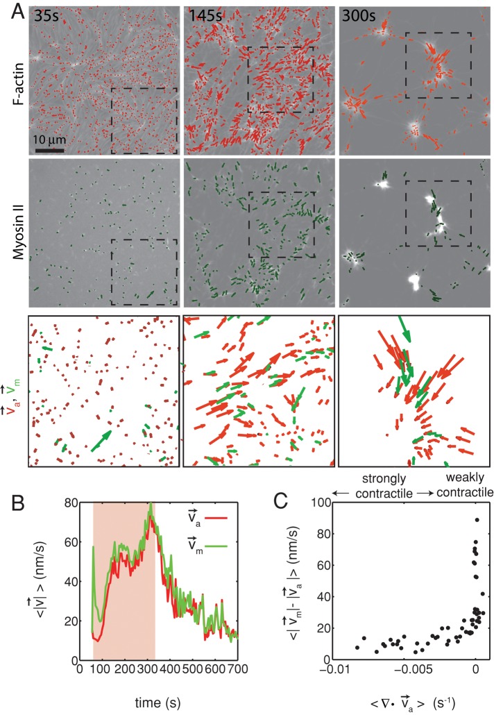 FIGURE 5: