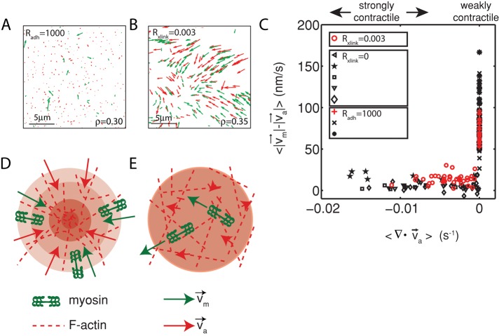 FIGURE 7: