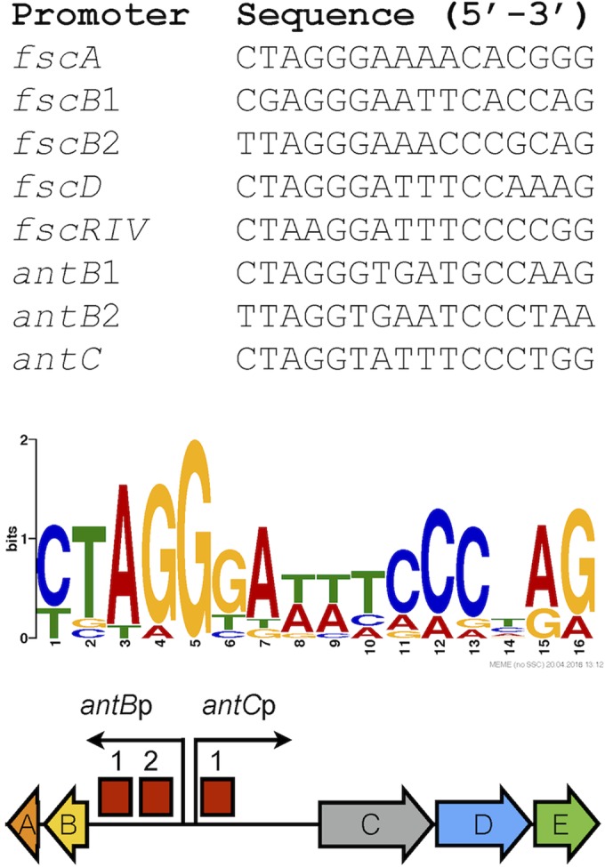 FIG 2 