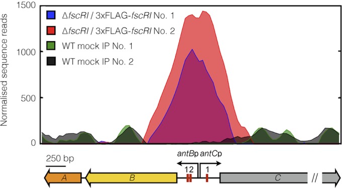 FIG 6 