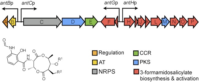 FIG 1 