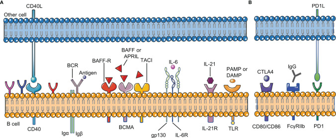 Figure 2