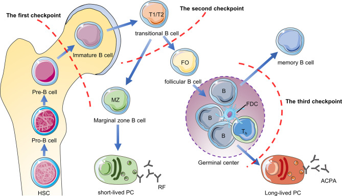 Figure 3