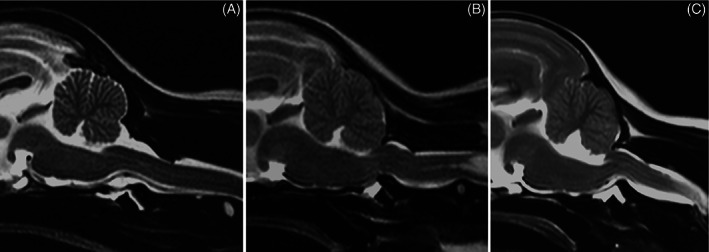 FIGURE 4