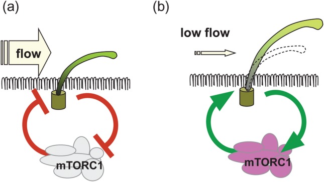 FIGURE 3: