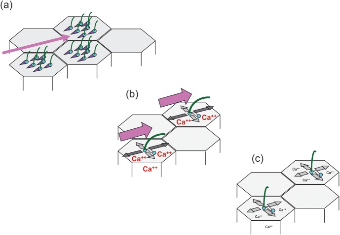 FIGURE 1: