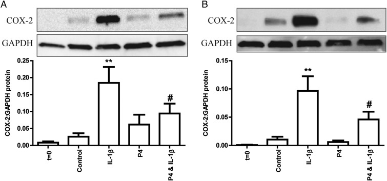 Figure 6