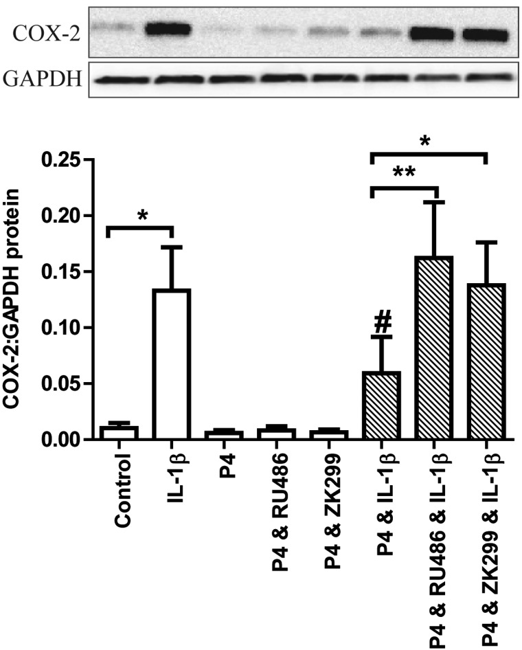 Figure 4