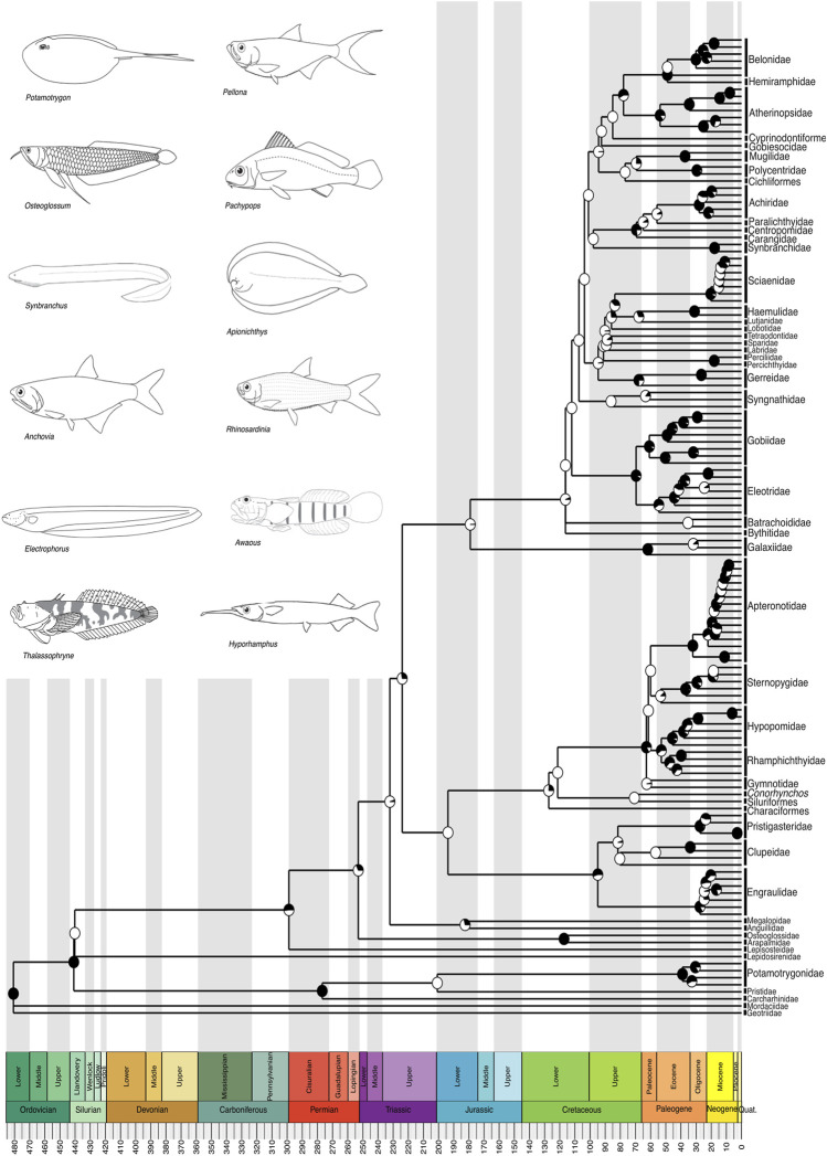 FIGURE 2