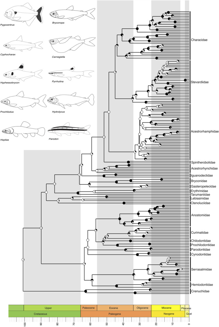 FIGURE 3