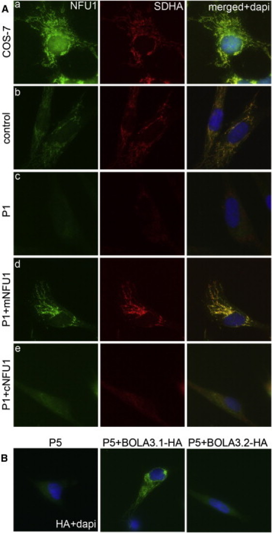 Figure 6