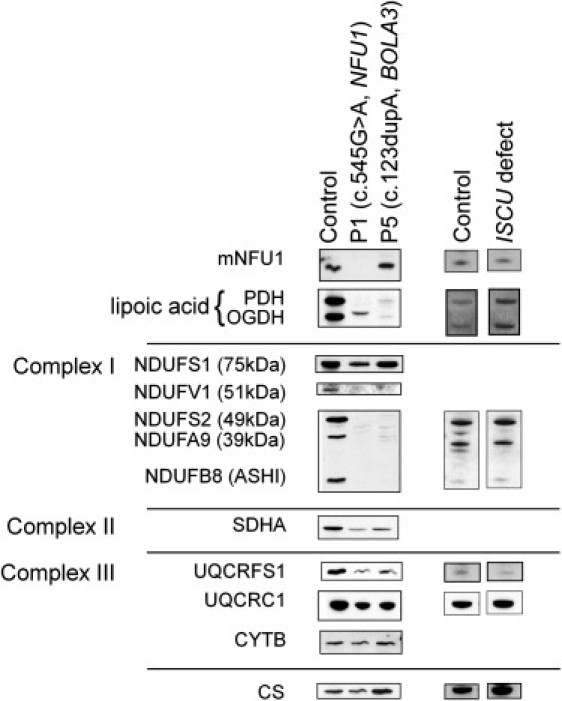 Figure 4