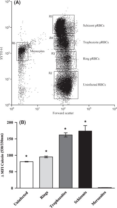 Fig 3