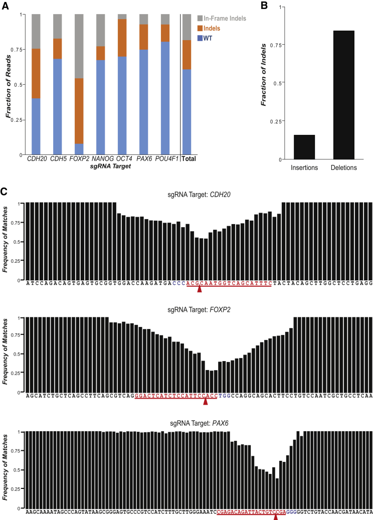 Figure 2