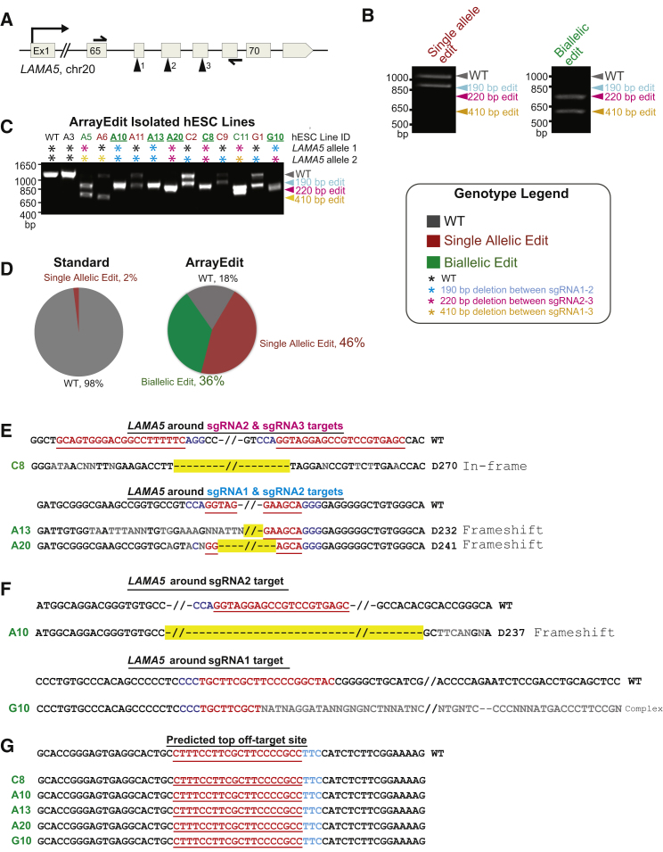 Figure 4