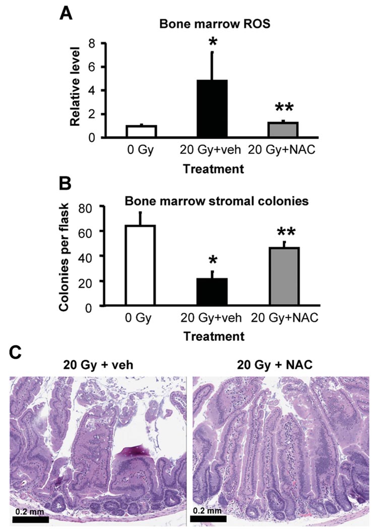 FIG. 6