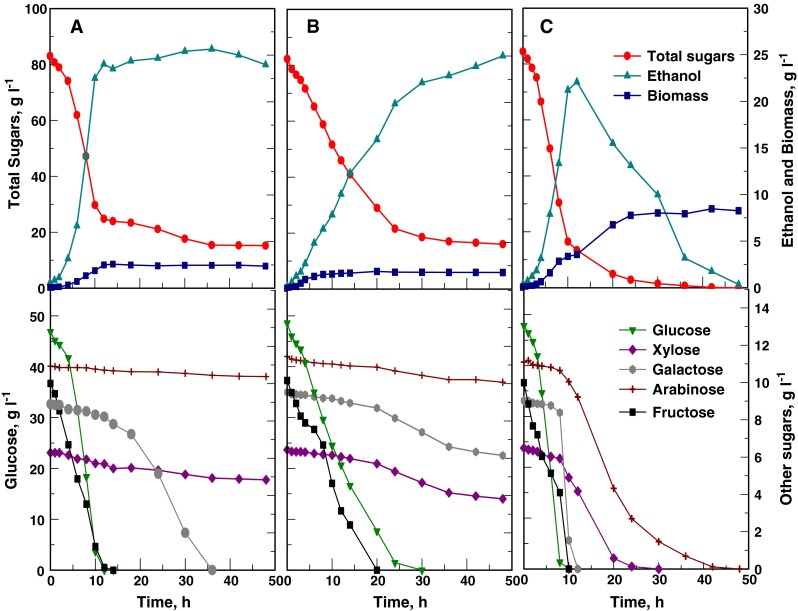 Fig. 1