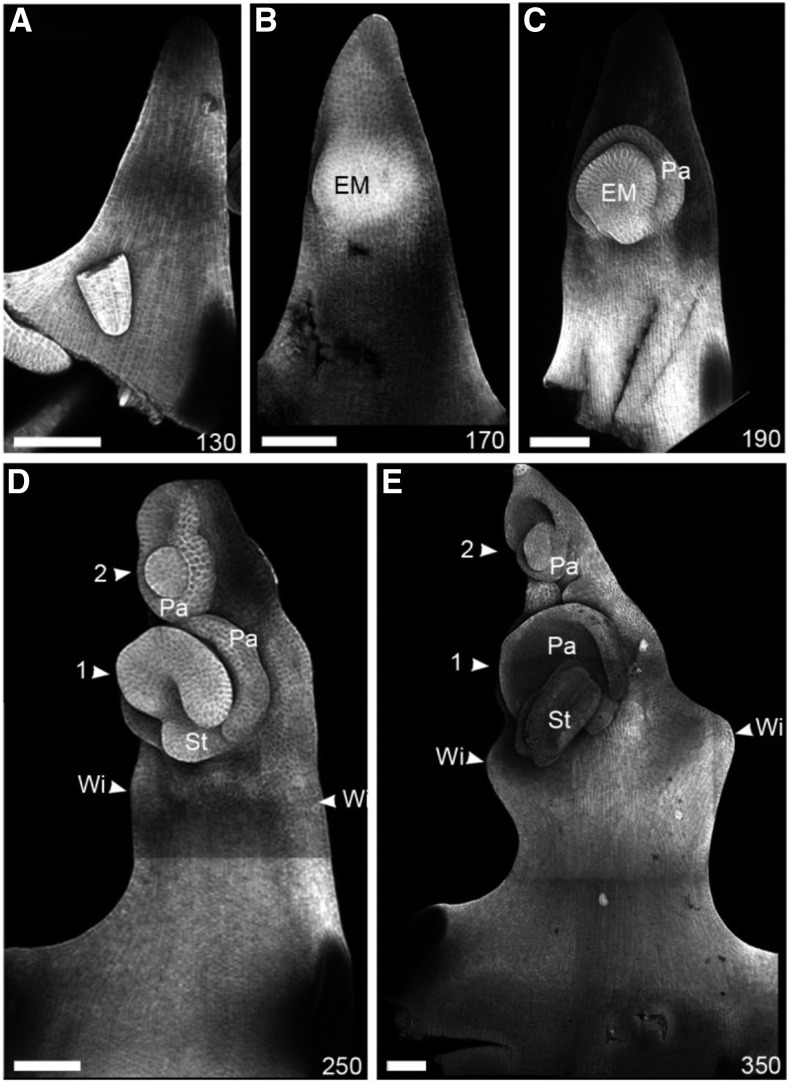 Figure 3.