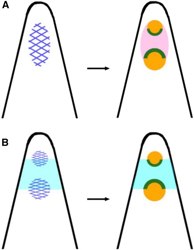 Figure 9.