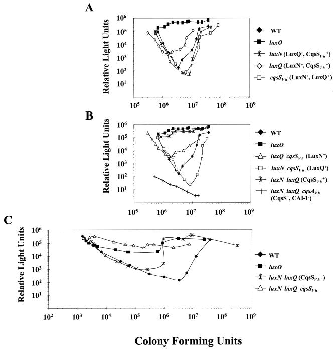 FIG. 7.