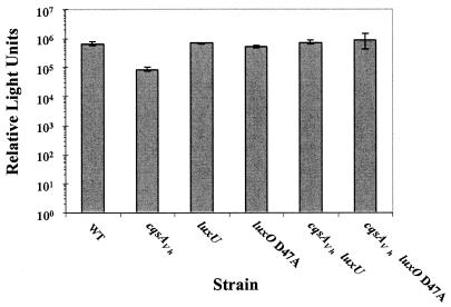 FIG. 5.