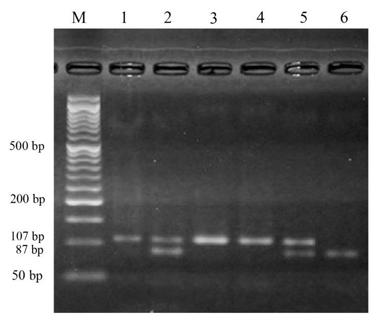 Fig.1