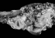 Fig 2.