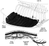 Fig 5.