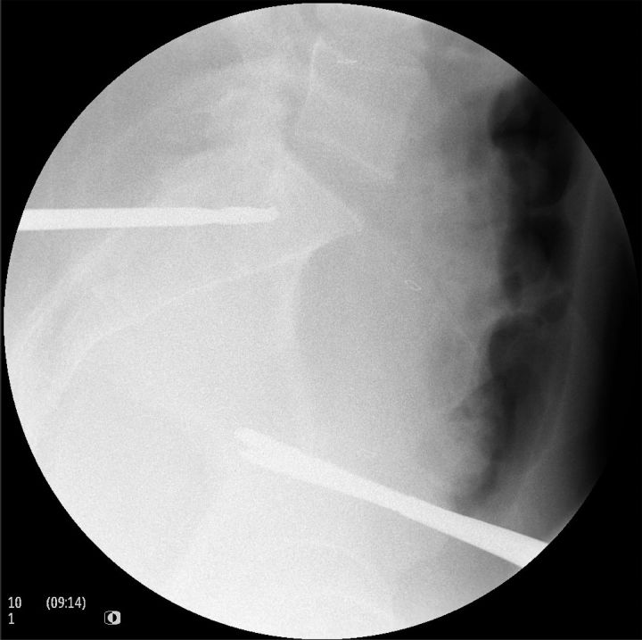Fig. 8