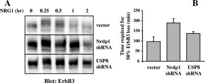 FIG. 9.