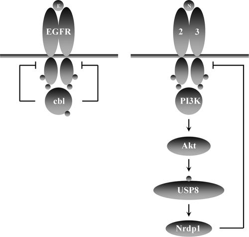 FIG. 10.