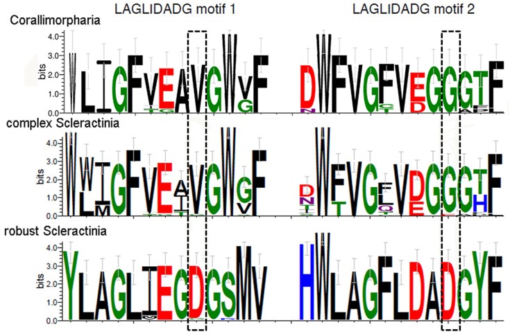 Fig 3