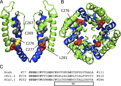 Figure 5.