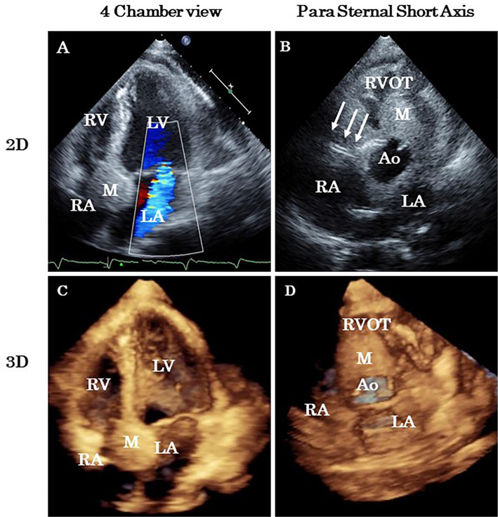 Figure 4.