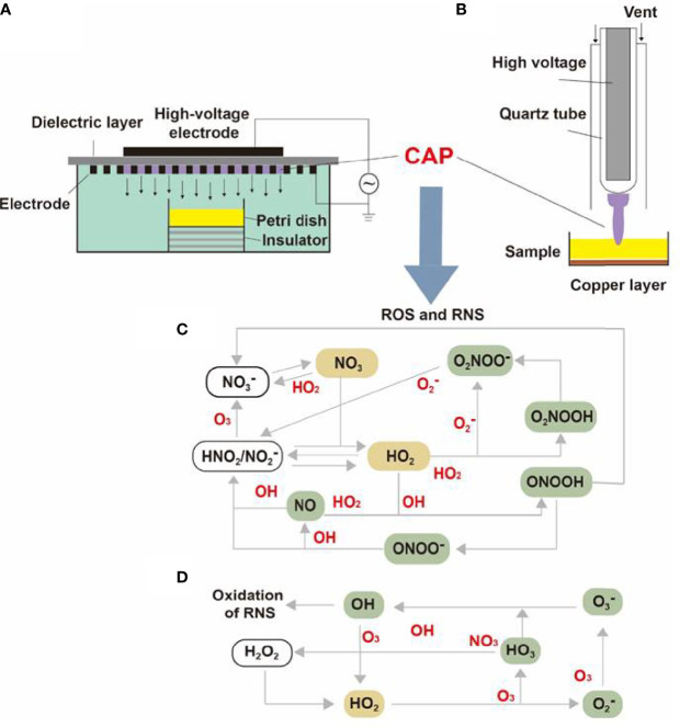 Figure 2