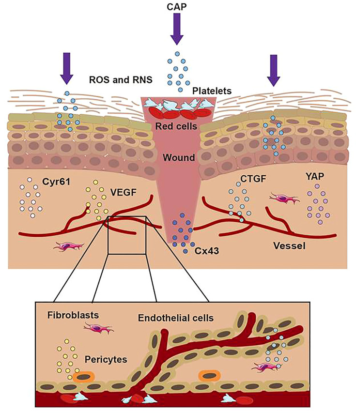 Figure 5